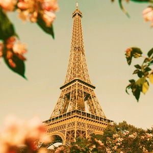 Meet your Posher, Jade